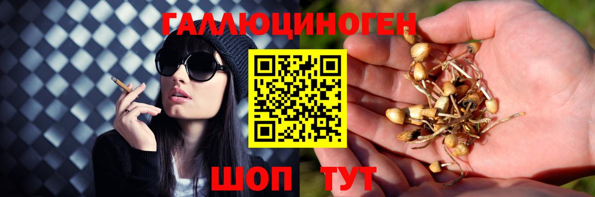 Галлюциногенные грибы прущие грибы  Псилоцибиновые грибы ЛСД  Норильск  продажа наркотиков  Вход с VPN 